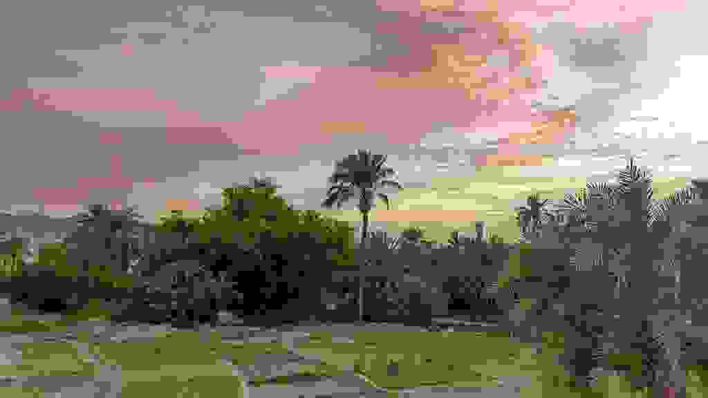 20211206-164721-5FV-7348.jpg